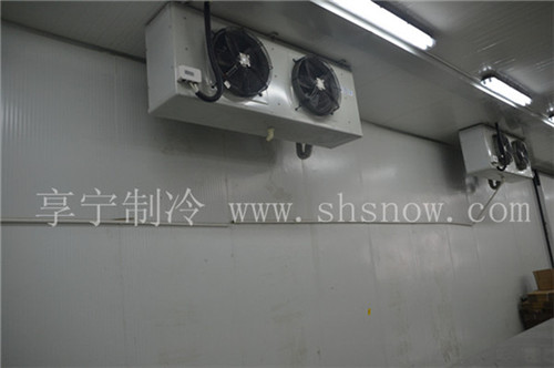 建造300平方的水产品冷库可以做什么？